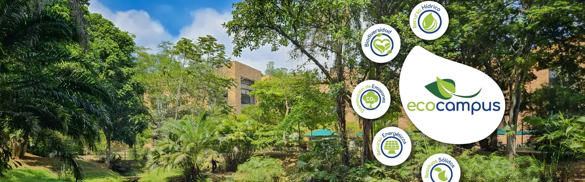 banner-ecocampus banner-ecocampus