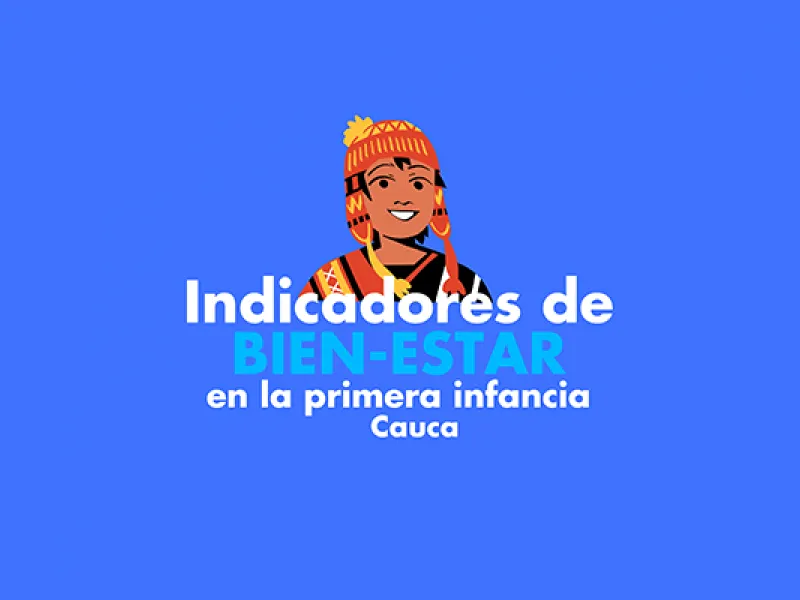 Indicadores de Bienestar Cauca