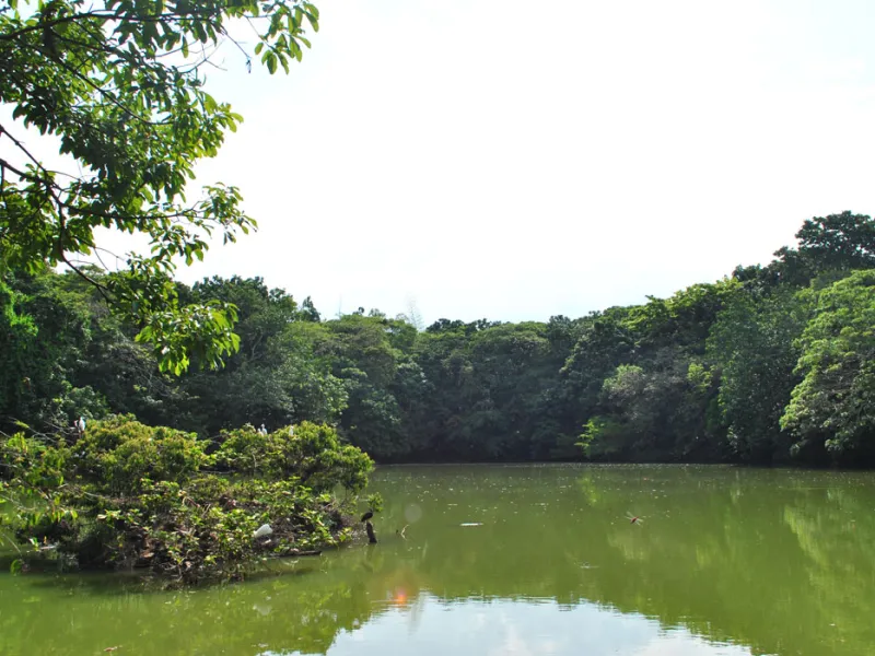 Gobernanza público-comunitaria, la clave para la protección de los humedales urbanos 